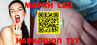a pvp Краснознаменск