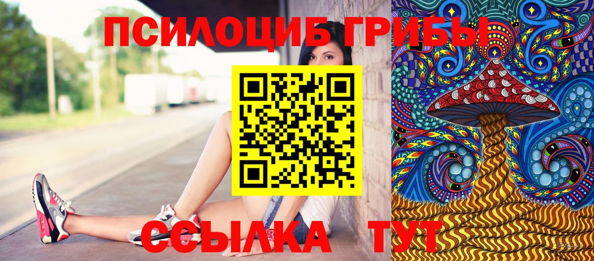 Железногорск  Галлюциногенные грибы ЛСД  Вход с VPN 